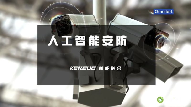 网络摄像机：揭秘厂家直销背后的定制之道**